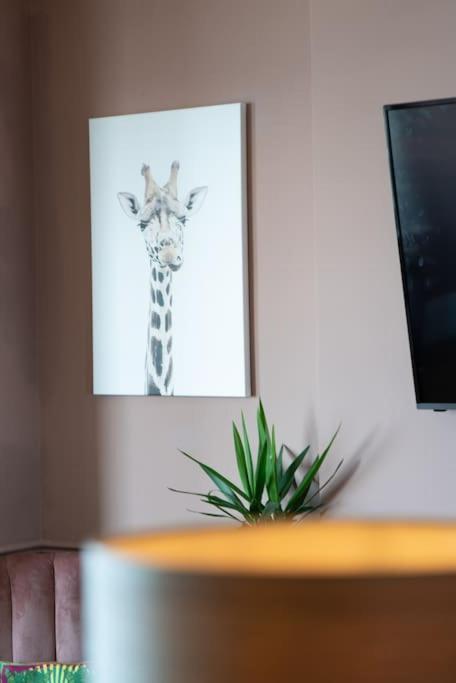 Stylish Beachfront Apartment, Sweeping Ocean Views And Luxury Touches Herne Bay Exterior photo